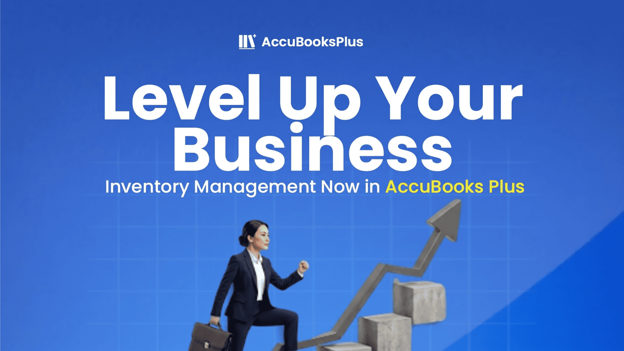 AccuBooks Plus - Accounting System in the Philippines